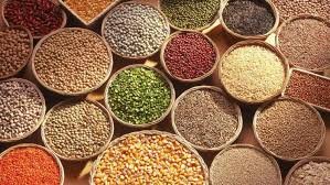 Organic Food Grains